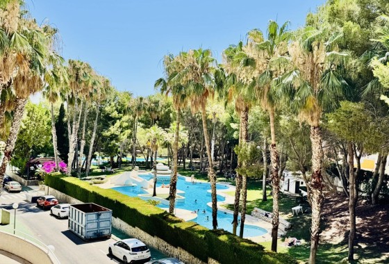 Sprzedaż - Apartament / Mieszkanie -
Orihuela Costa - Altos de Campoamor