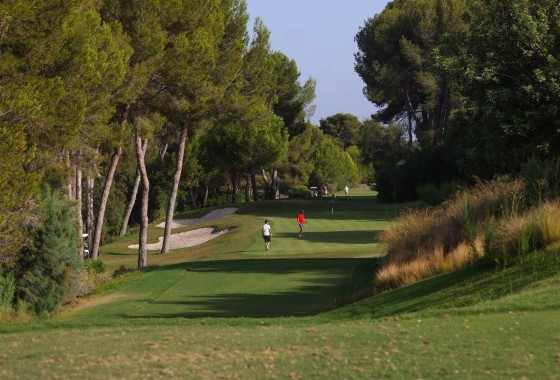 New Build - Freistehende Villa -
Orihuela - Las Colinas Golf