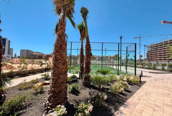 Sprzedaż - Apartament / Mieszkanie -
Torrevieja - Punta Prima