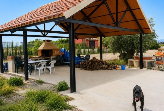 Resale - Detached Villa -
Benferri