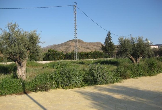 Resale - Detached Villa -
Benferri