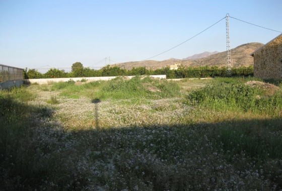Resale - Detached Villa -
Benferri