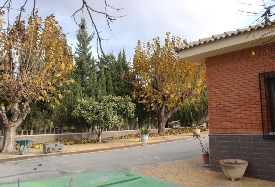 Herverkoop - Finca / Landhuis -
Sax - SAX