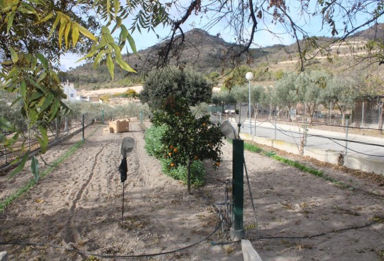 Herverkoop - Finca / Landhuis -
Sax - SAX