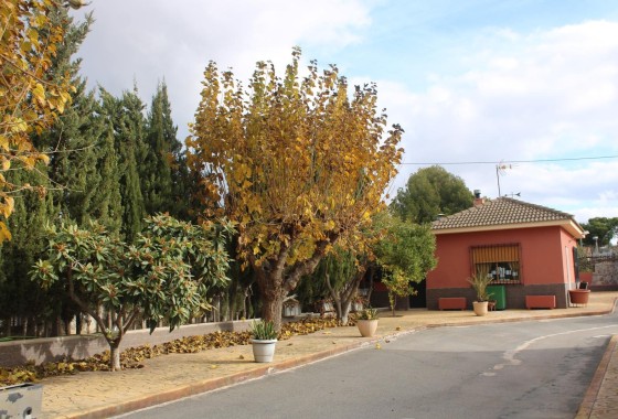 Herverkoop - Finca / Landhuis -
Sax - SAX