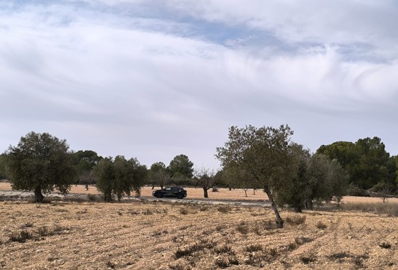 Venta - Chalet Independiente -
Monóvar - Inland