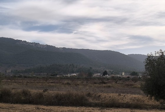Venta - Chalet Independiente -
Monóvar - Inland
