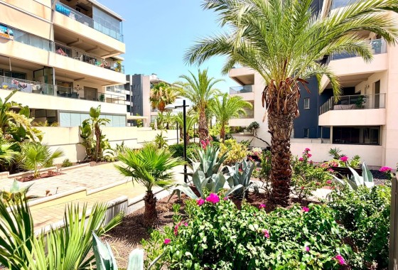 Herverkoop - Appartement / Flat -
Orihuela Costa - La Zenia