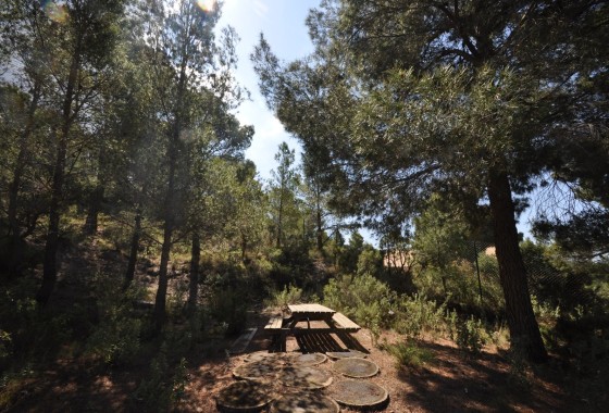 Resale - Detached Villa -
Castalla - Inland