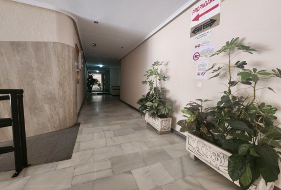 Wiederverkauf - Wohnung / Apartment -
Torrevieja