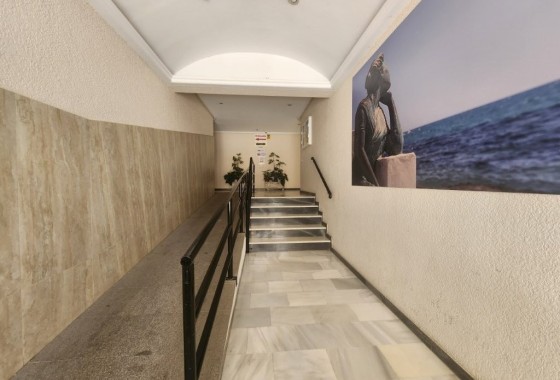 Wiederverkauf - Wohnung / Apartment -
Torrevieja