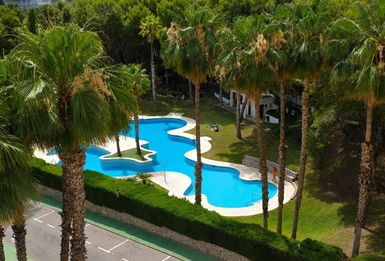 Wiederverkauf - Wohnung / Apartment -
Orihuela Costa - Campoamor