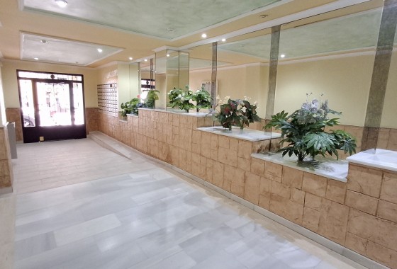 Wiederverkauf - Wohnung / Apartment -
Torrevieja