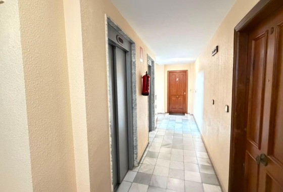 Herverkoop - Appartement / Flat -
Torrevieja