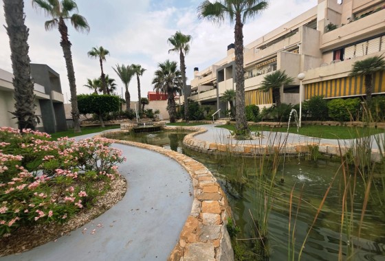 Sprzedaż - Apartament / Mieszkanie -
Torrevieja - La Mata