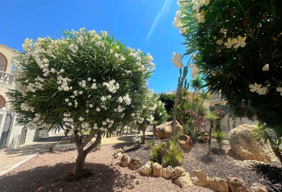 Sprzedaż - Apartament / Mieszkanie -
La Mata