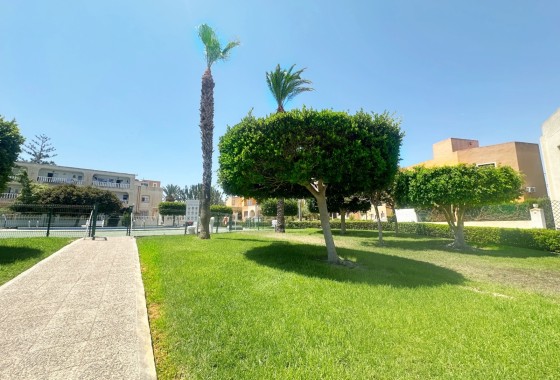 Sprzedaż - Apartament / Mieszkanie -
La Mata