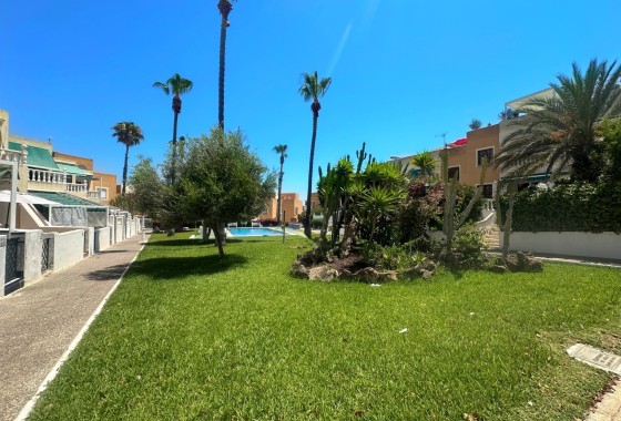 Sprzedaż - Apartament / Mieszkanie -
La Mata
