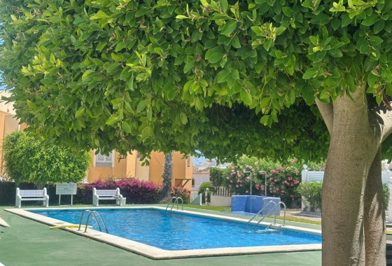 Sprzedaż - Apartament / Mieszkanie -
La Mata