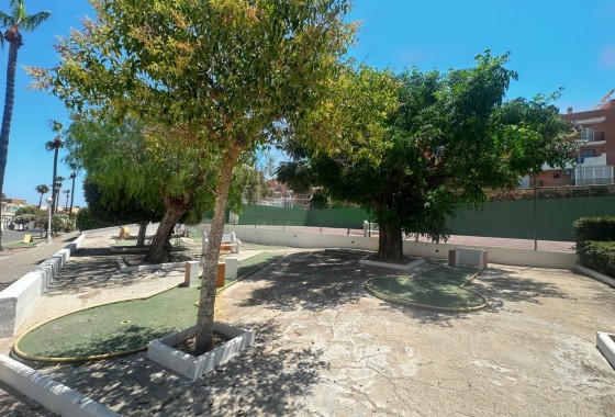 Sprzedaż - Apartament / Mieszkanie -
La Mata