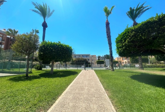 Sprzedaż - Apartament / Mieszkanie -
La Mata