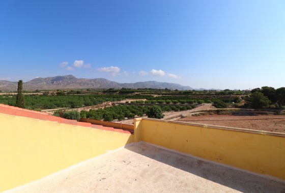 Herverkoop - Finca / Landhuis -
Albatera