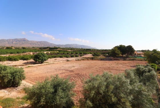 Herverkoop - Finca / Landhuis -
Albatera