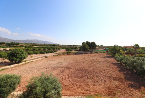 Herverkoop - Finca / Landhuis -
Albatera