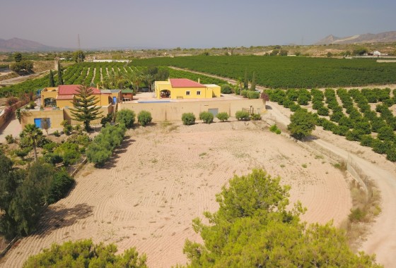 Herverkoop - Finca / Landhuis -
Albatera