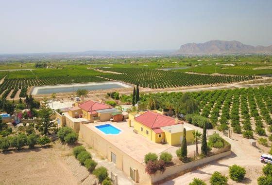Herverkoop - Finca / Landhuis -
Albatera