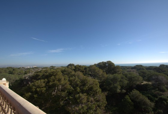 Nouvelle construction - Appartement -
Guardamar del Segura - Pueblo