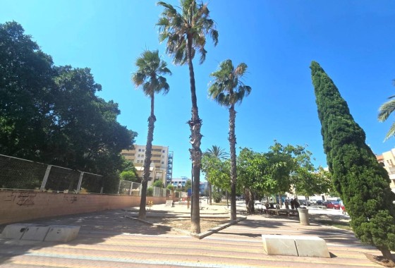 Sprzedaż - Apartament / Mieszkanie -
Torrevieja