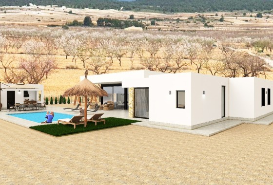 New Build - Freistehende Villa -
Pinoso