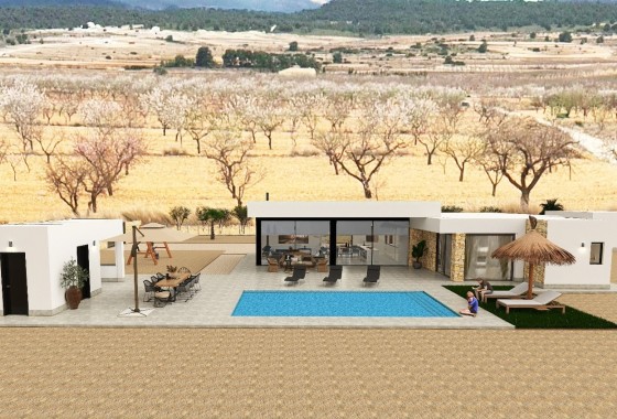 New Build - Freistehende Villa -
Pinoso