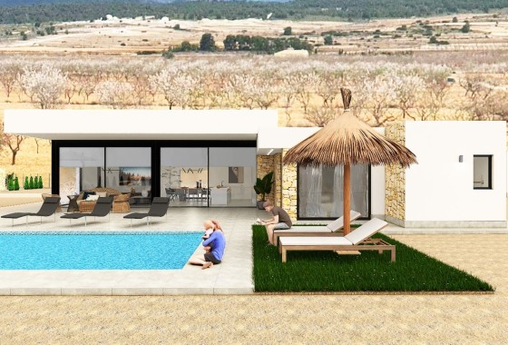 New Build - Freistehende Villa -
Pinoso