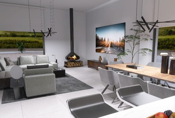 New Build - Freistehende Villa -
Pinoso
