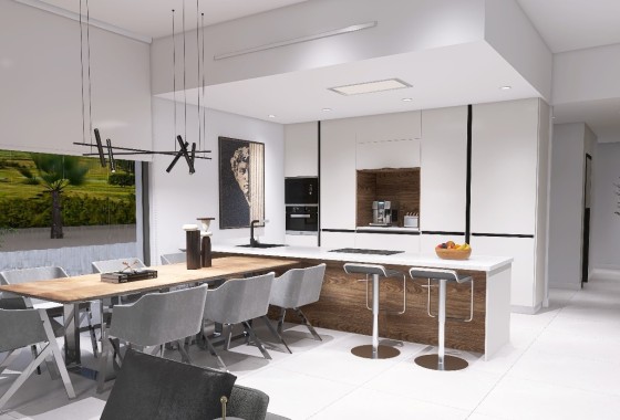 New Build - Freistehende Villa -
Pinoso