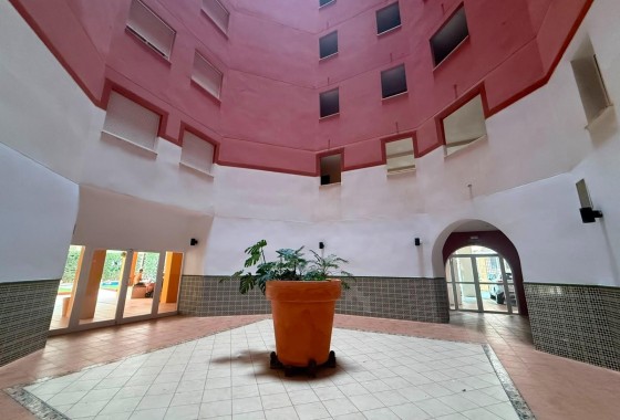 Herverkoop - Appartement / Flat -
Torrevieja - Playa de los Locos