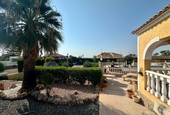 Resale - Finca - Country Property -
Catral