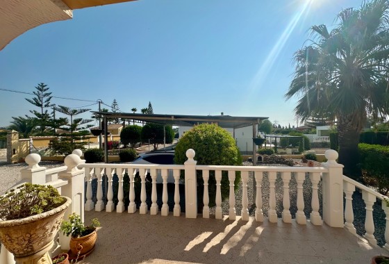 Resale - Finca - Country Property -
Catral