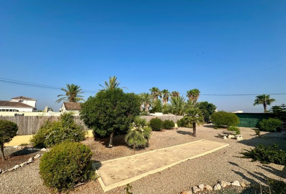 Resale - Finca - Country Property -
Catral