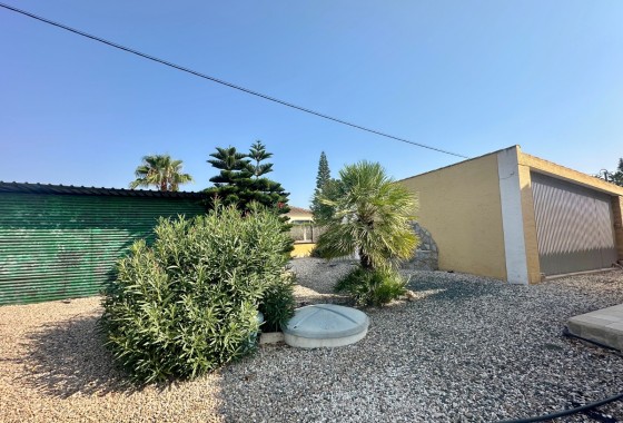 Resale - Finca - Country Property -
Catral