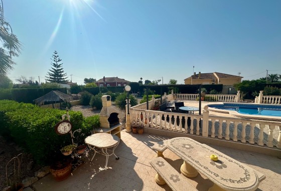 Resale - Finca - Country Property -
Catral