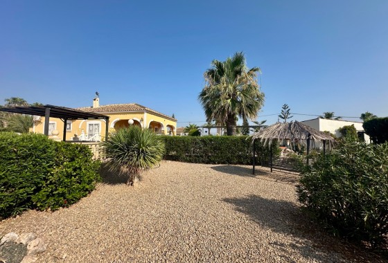 Resale - Finca - Country Property -
Catral