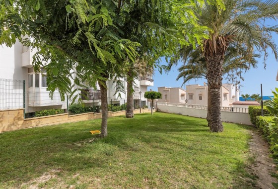 Venta - Apartamento / Piso -
Torrevieja - Torreblanca