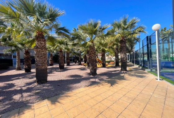Herverkoop - Appartement / Flat -
Orihuela Costa - Agua Marina