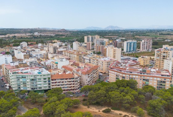 Resale - Apartment / Flat -
Guardamar del Segura - CENTRO