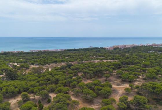 Resale - Apartment / Flat -
Guardamar del Segura - CENTRO