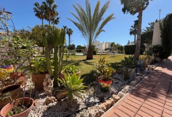 Herverkoop - Appartement / Flat -
Torrevieja - La Siesta