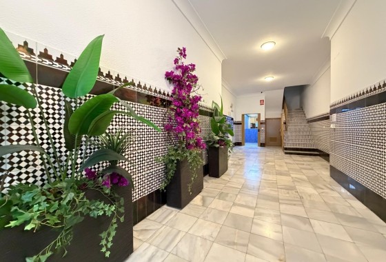 Herverkoop - Appartement / Flat -
Torrevieja - Playa del Cura